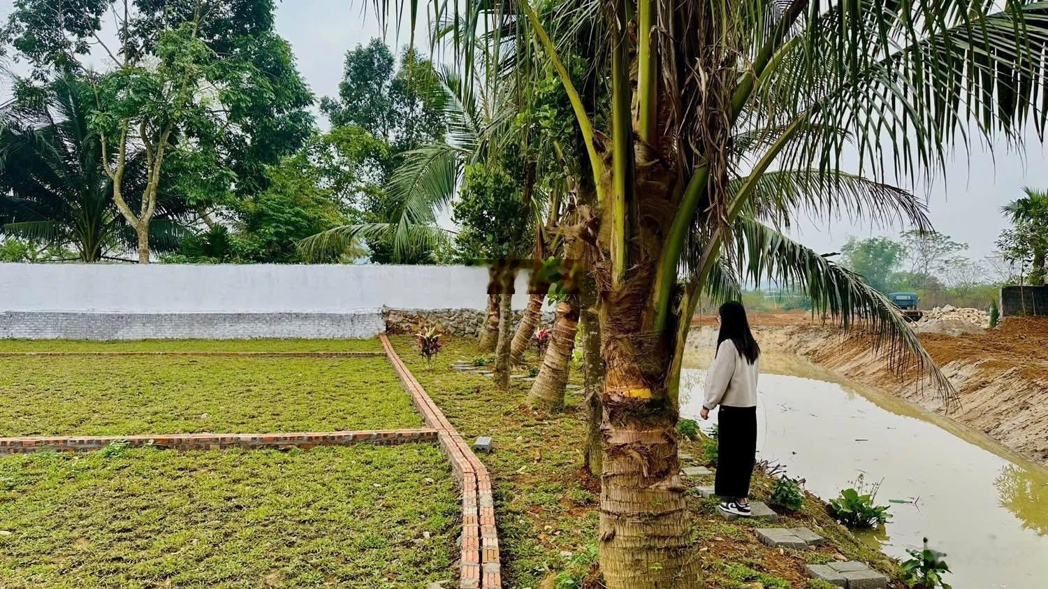 Chỉ hơn 300tr sở hữu lô đất vị trí tiềm năng sát vách Sun Group Kim Bôi, Hoà Bình