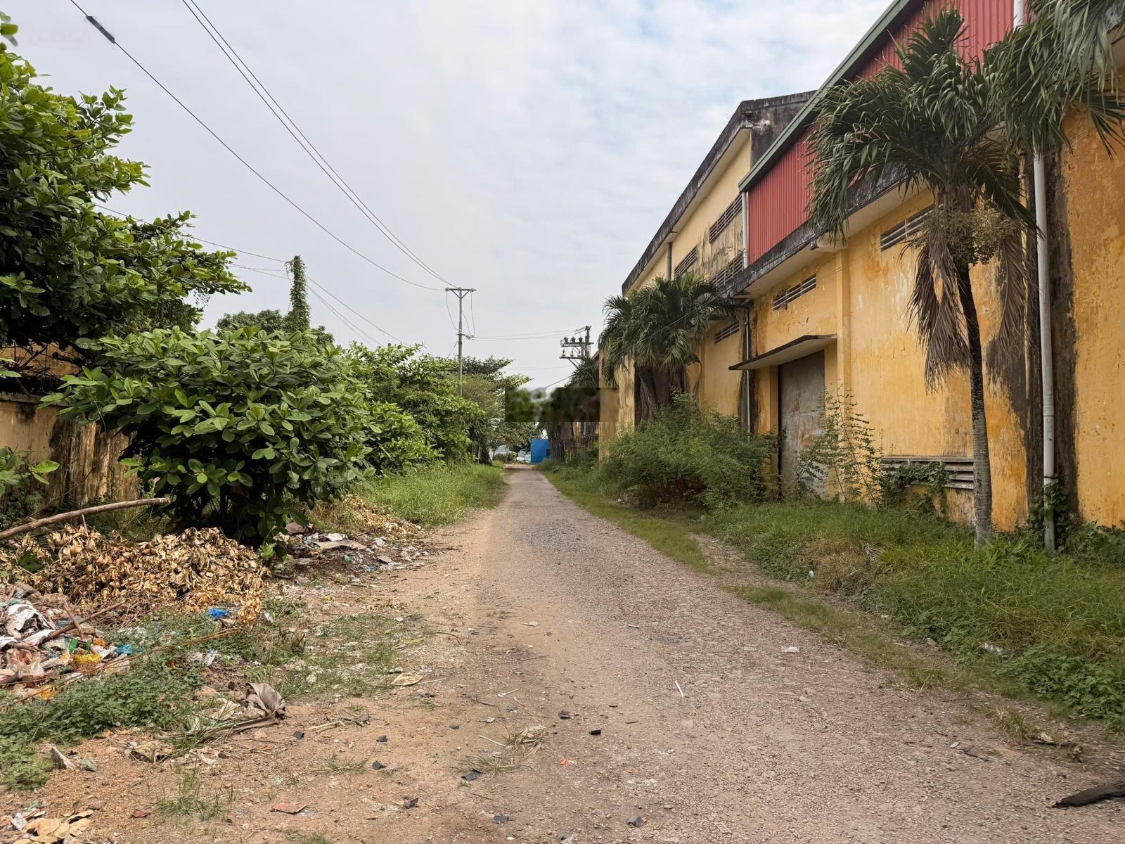 Cho thuê nhà xưởng liền kề cảng Mỹ Thới - Long Xuyên - An Giang. Cách Vsip Vĩnh Thạnh