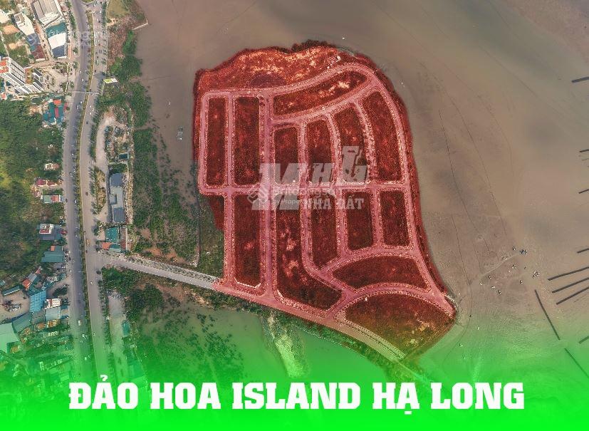 Cần chuyển nhượng 1 số ô đất biệt thự hướng Nam khu đô thị Đồn Điền Đảo Hoa giá từ 55 triệu/m2