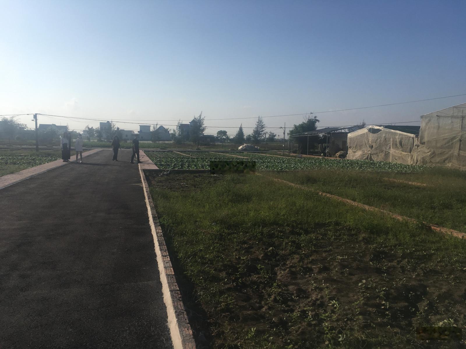 Bán đất Phú Cát Hoà Lạc sát CNC chỉ nhỉnh 3 tỷ