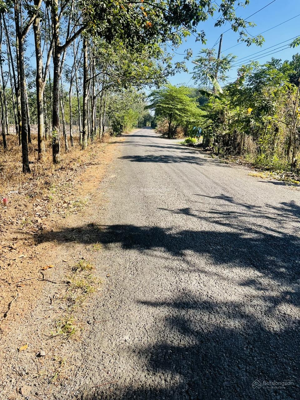 Bán Gấp Hơn 1,8Ha( 18.279m2) đất 2 mặt tiền Sau Cụm Khu công nghiệp Mỹ Phước 2,3 Giá rẻ đường 18m