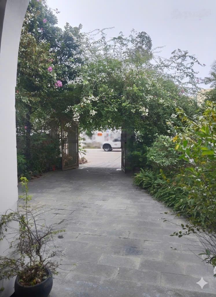 Chính chủ bán BT 330m2 KHU C Geleximco -Hà Đông, thiết kế hiện đại, full nội thất, gần Aeon Mall HĐ