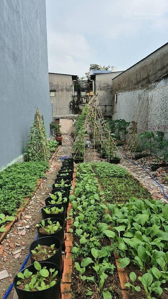 Đất trống hẻm thông 6m, sổ mới 2025, ngay kcn tân bình, 100m2, chỉ 7,7 tỷ