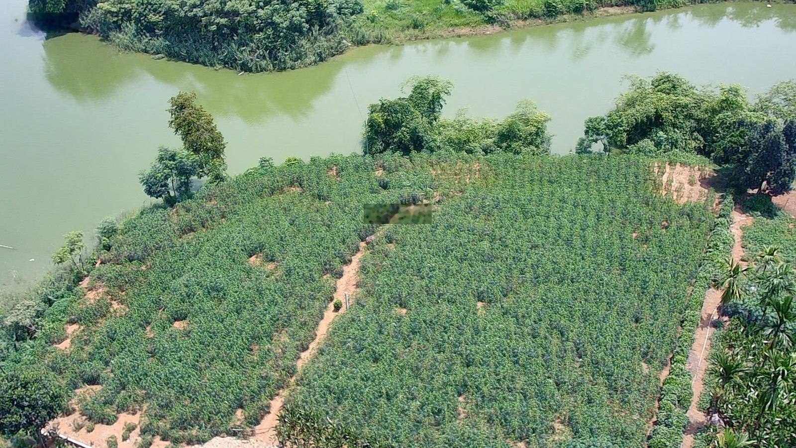 Mảnh đất nghỉ dưỡng view hồ Đầm Sản cực thoáng đẹp-gần trục chính liên thôn-cách TL414 chỉ hơn 1km