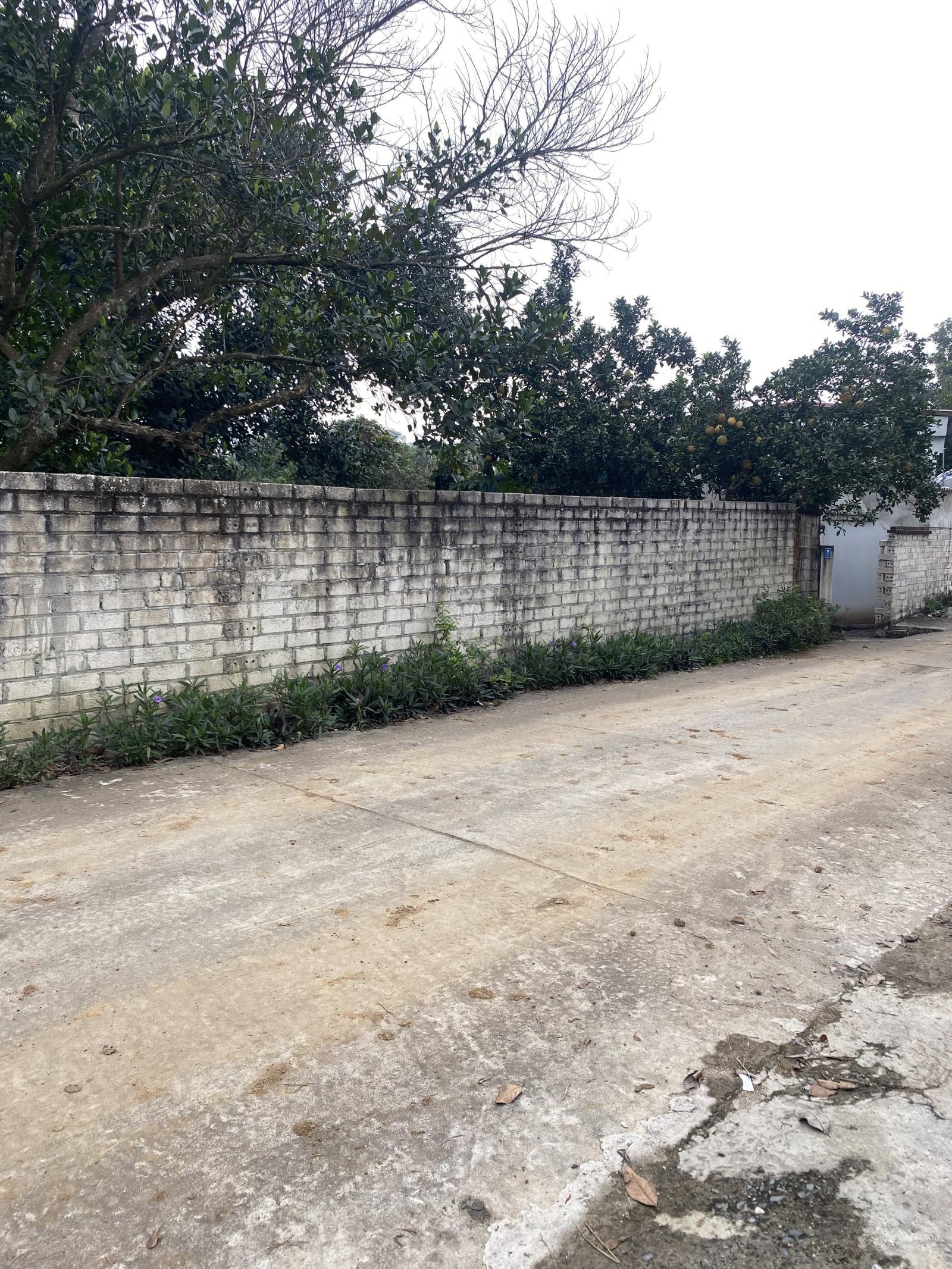 25tr/m2 102m2 thổ cư, gần chợ Long Phú, Phú Cát, Hà Nội, giá đầu tư F0