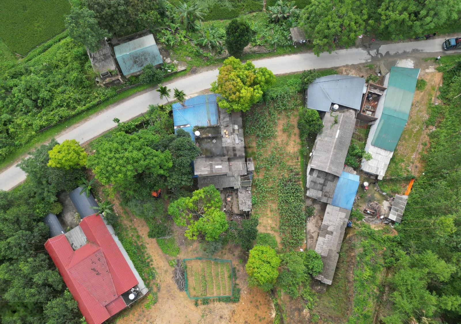 Khu 5 Yên Luật Hạ Hoà PT 139m2 70ONT MT 6,66m đường nhựa view cánh đồng giá 5xxtr