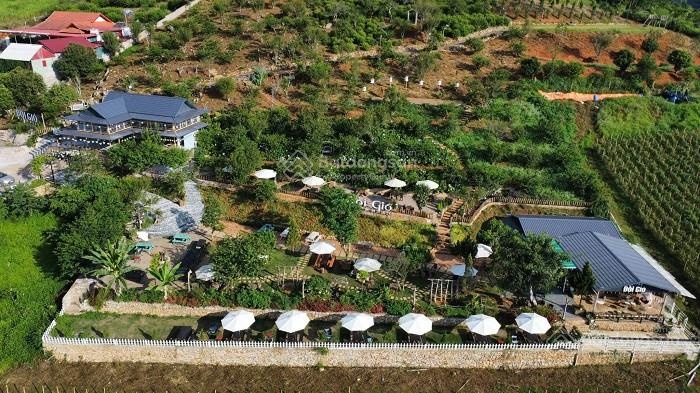 Bán đất tại Xã Đông Sang, Huyện Mộc Châu, Sơn La, 4,55 tỷ, 300m2 - Hot!