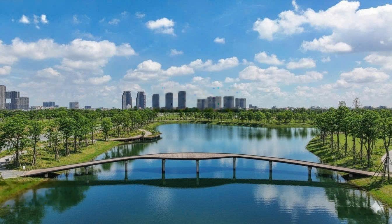 Alumi Alluvia City Căn hộ cao tầng tâm điểm đại đô thị 198ha, tiềm năng tăng giá