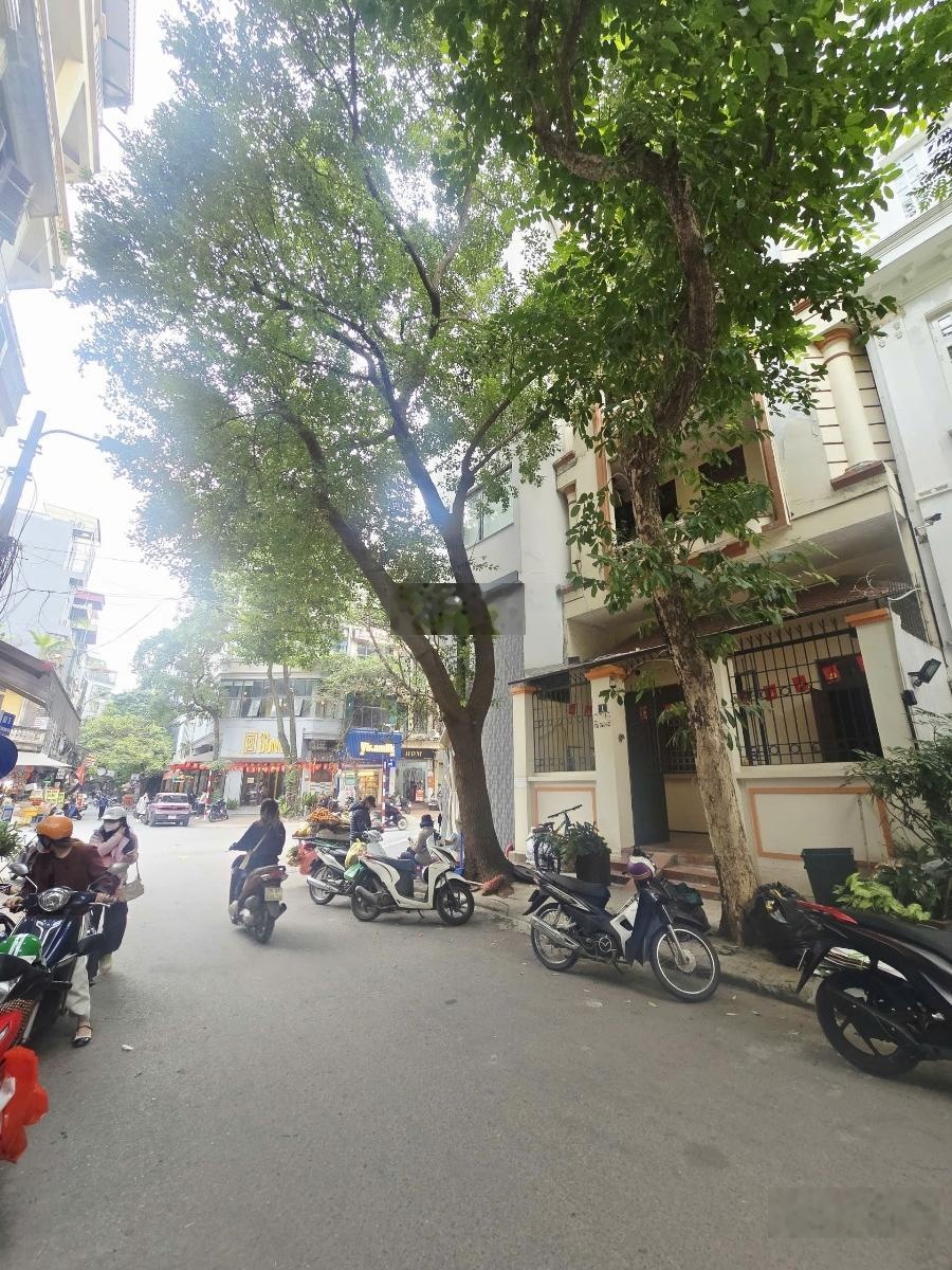 Siêu phẩm Trần Quang Diệu - Đống đa - 100M x 5 tầng x 6,5M mặt tiền x 55 tỷ phân lô kinh doanh.