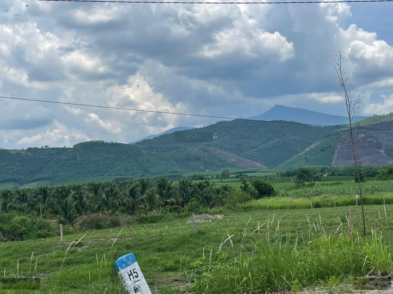 Bán đất Ninh Xuân Ninh Hòa 2 mặt tiền TL8, tách lô kinh doanh, đối diện KCN