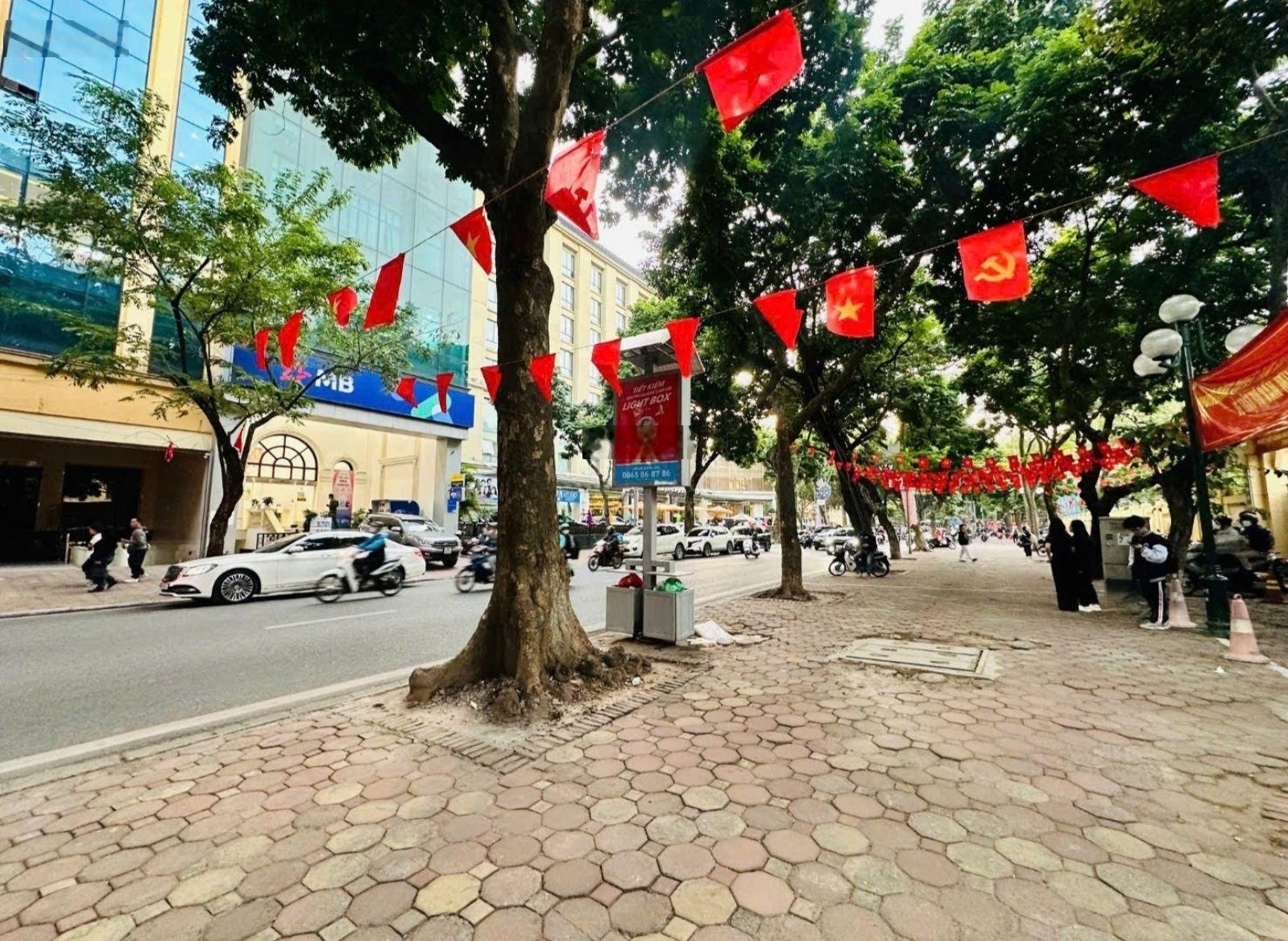 Biệt thự mini hiện đại trung tâm Nguyễn Thái Học giữa lòng Ba Đình lõi thủ đô cách mặt phố