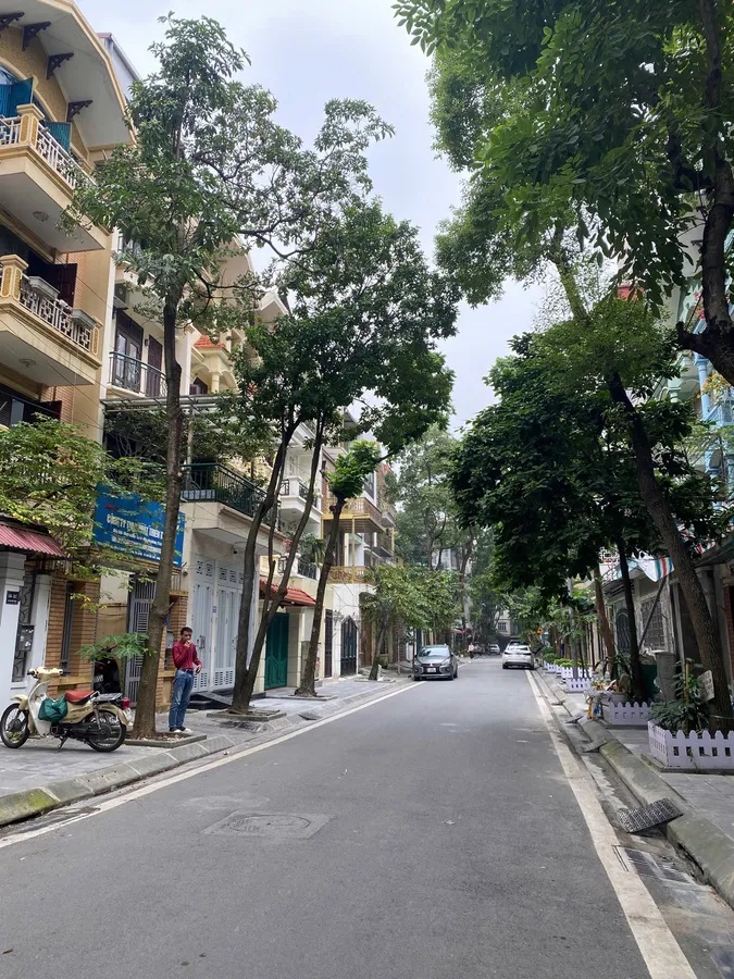 Hiếm! Phân lô KĐT Mới Định Công, Lô góc 2 mặt tiền, ôtô tránh, vỉa hè kinh doanh đỉnh nhất khu vực