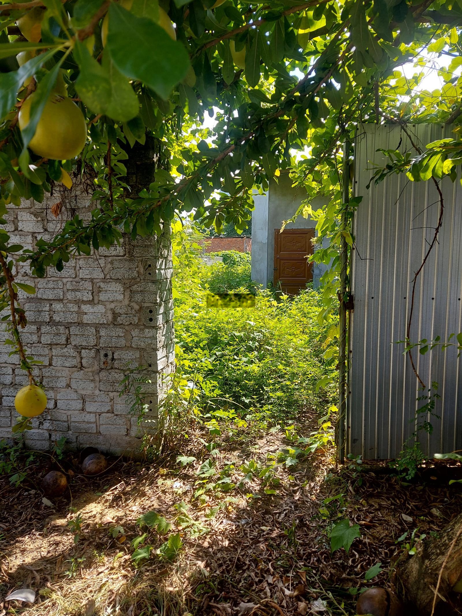 Bán nhanh trước tết giá tốt lô 123m2, kiệt 5m thông Mai Đăng Chơn, Hòa Quý, Đà Nẵng