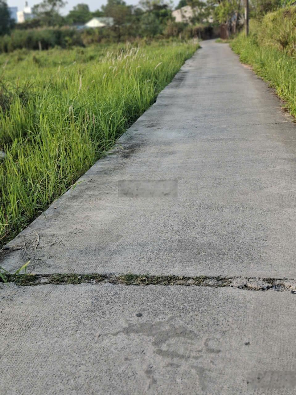 Bán đất 127,5 m2 tại An Phú Tây, 2,4 tỷ, Bình Chánh, HCM