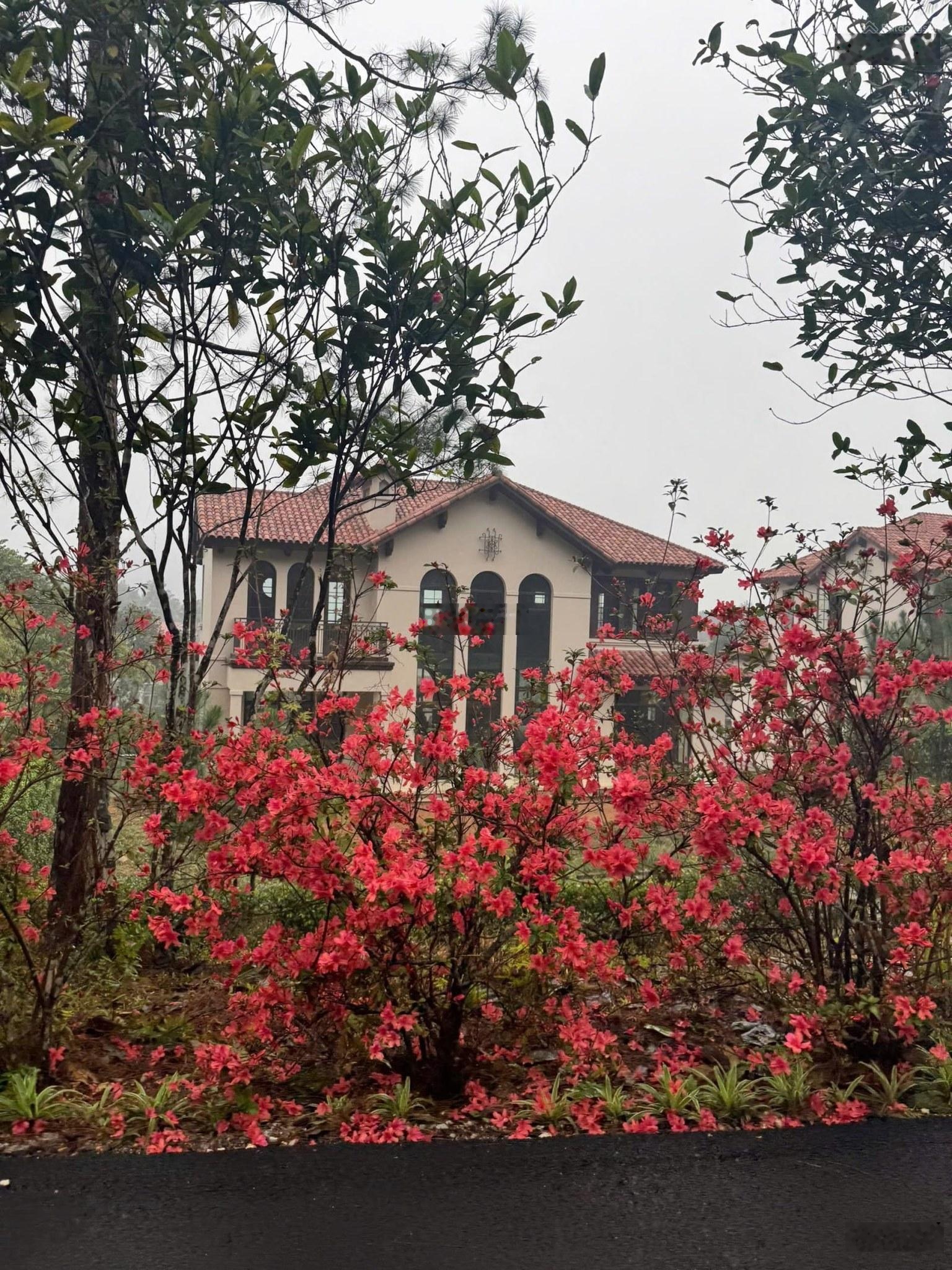 Suất ngoại giao Thanh Xuân Valley, 140 triệu/m2, 1300 m2, Xã Ngọc Thanh, Phúc Yên, Vĩnh Phúc