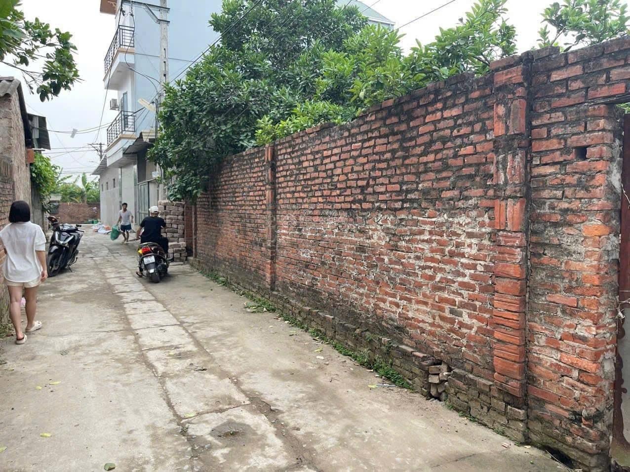 Hàng hiếm đất làng sài sơn, quốc oai