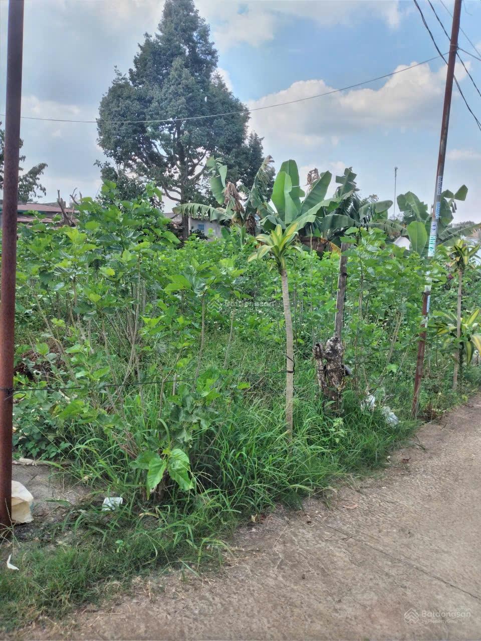 Đất vàng đinh trang hòa - sát vách quốc lộ 20