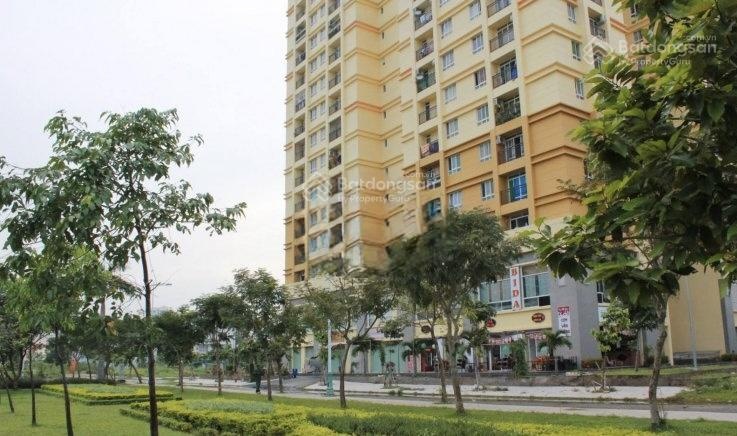 Thông tin 02 căn hộ cần bán tại chung cư Petroland Quận 2 cập nhật 23/01/2026