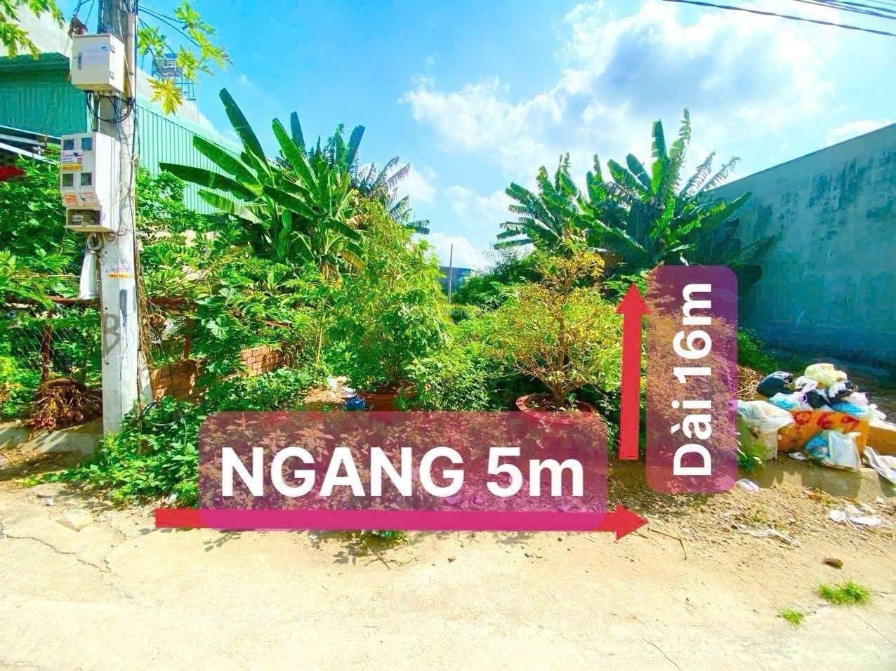 Bán đất đường 826C Long Hậu 5*16m, giá 1,65 tỷ, hẻm xe hơi VF3, Shr, kế SG Village, T&T Millenia
