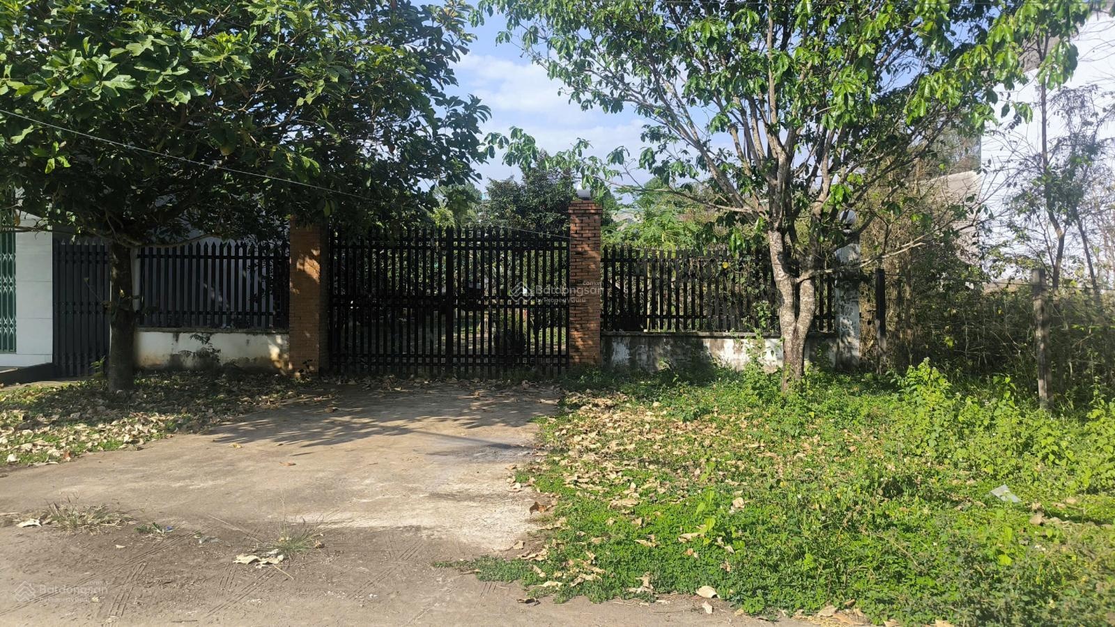 Cần bán nhà vườn 4335m2 có thổ cư Suối Nhum, Hắc Dịch