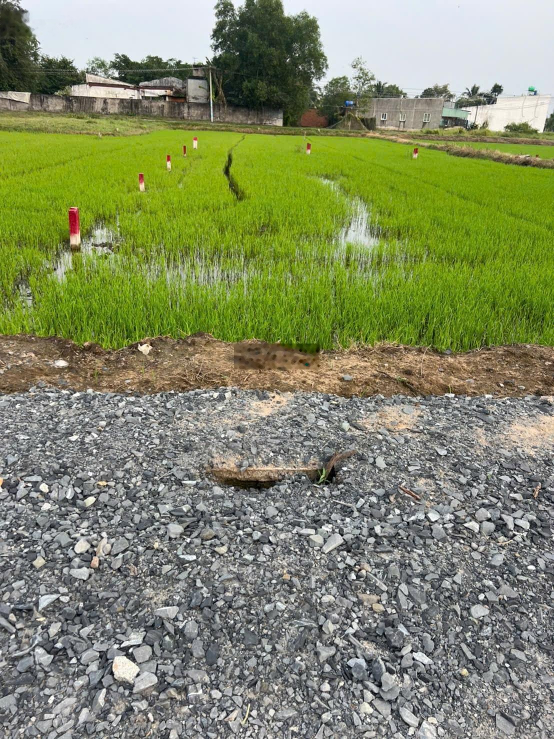 Bán đất Bình Lợi HKĐ chính chủ, giá rẻ, sổ hồng, dân đông 590 triệu/ nền