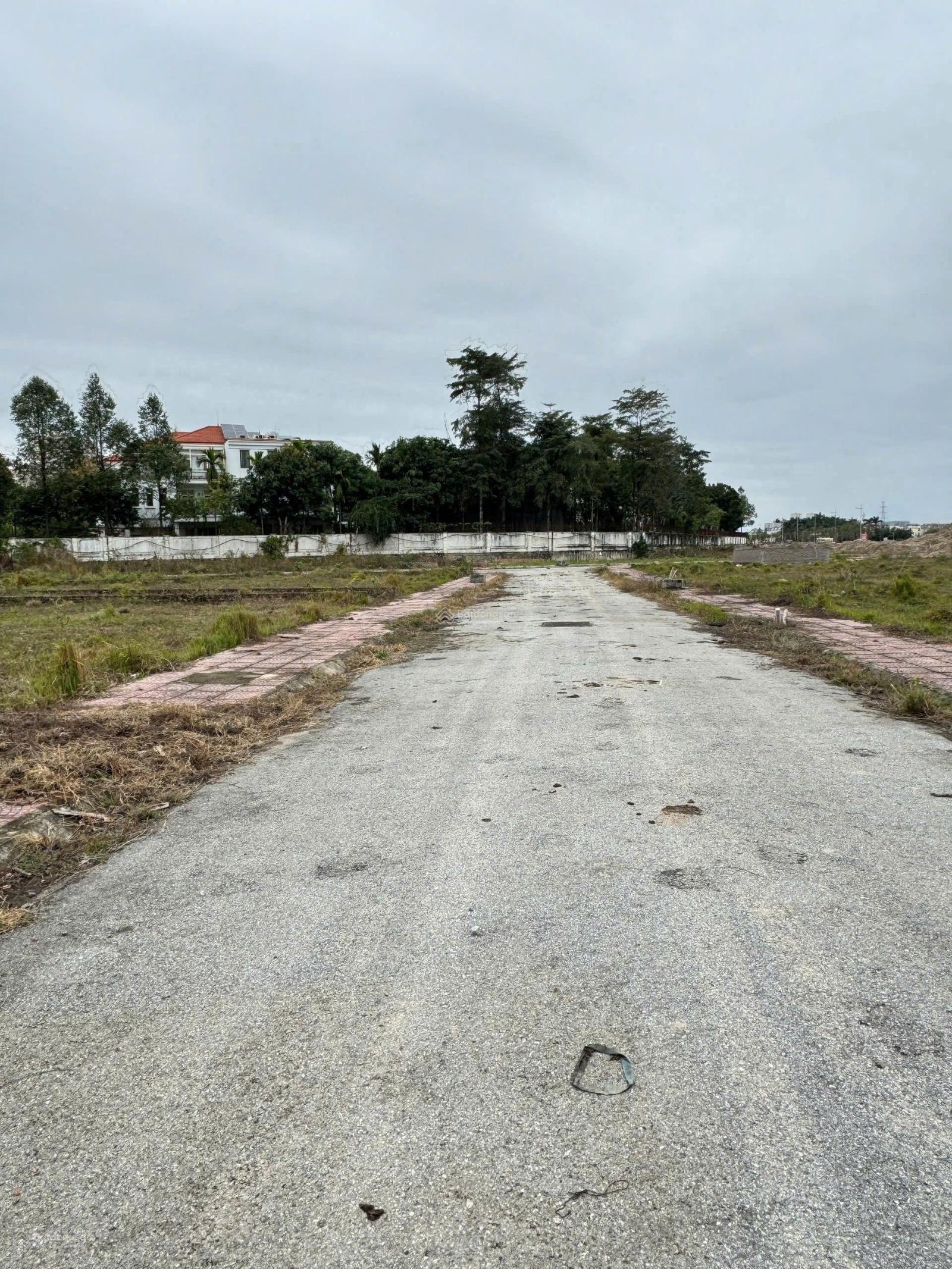 Bán 45m2 mặt tiền 3.75m đất dịch vụ An Thọ sát vành đai 3.5. Không lỗi gì, sẵn sổ, oto tránh