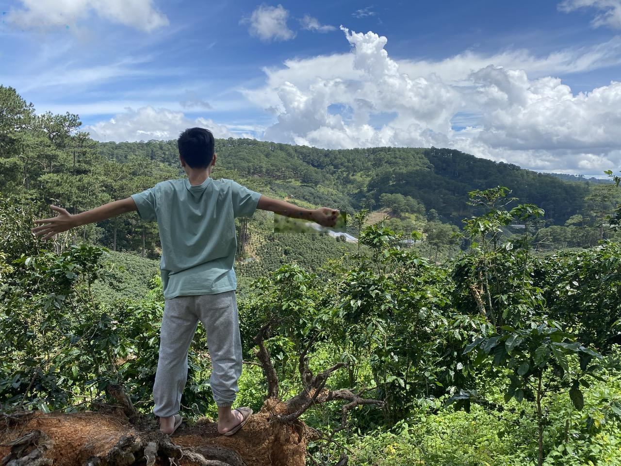 Cho thuê 10.600m2 đất vườn cafe Sim Tím MT QL20 hxh Đà Lạt giá 10 triệu