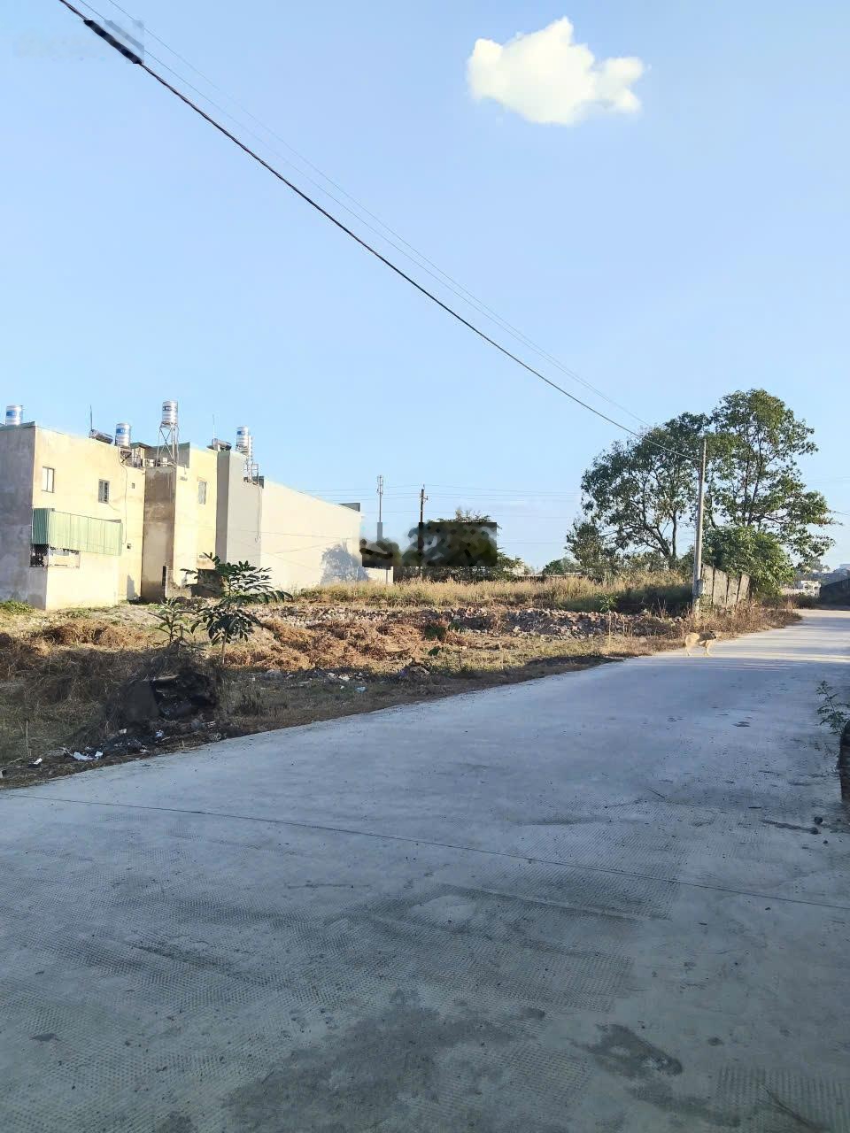 Bán Đất Hố Nai.Gần Giáo Xứ Ngũ Phúc.Cách Quốc Lộ 1A 500m.Giá Bán Trước Tết ;1 Tỷ 100 triệu