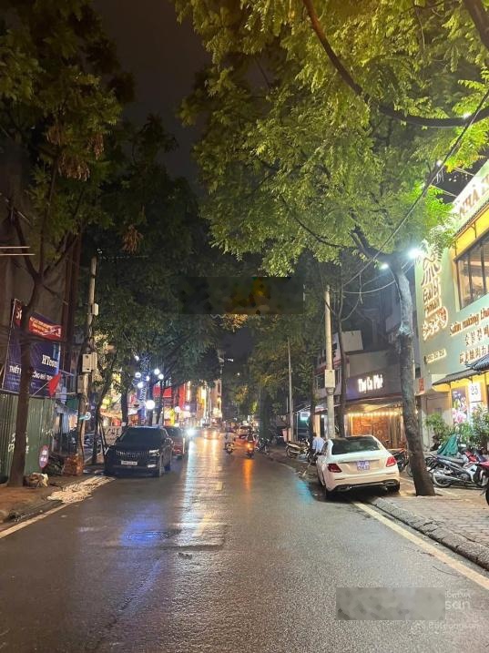 Chính chủ bán mảnh đất mặt phố PHAN KẾ BÍNH, BƯỞI 240M, mặt tiền 14M, vỉa hè kinh doanh sầm uất