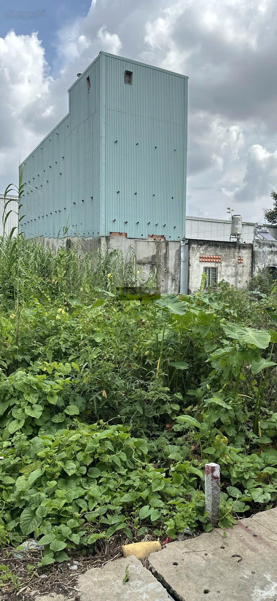 QSDĐ thuộc thửa đất số 1357, tờ bản đồ số 4 tại khu vực Qui Thạnh 1, phường Thuận Hưng, TP. Cần Thơ