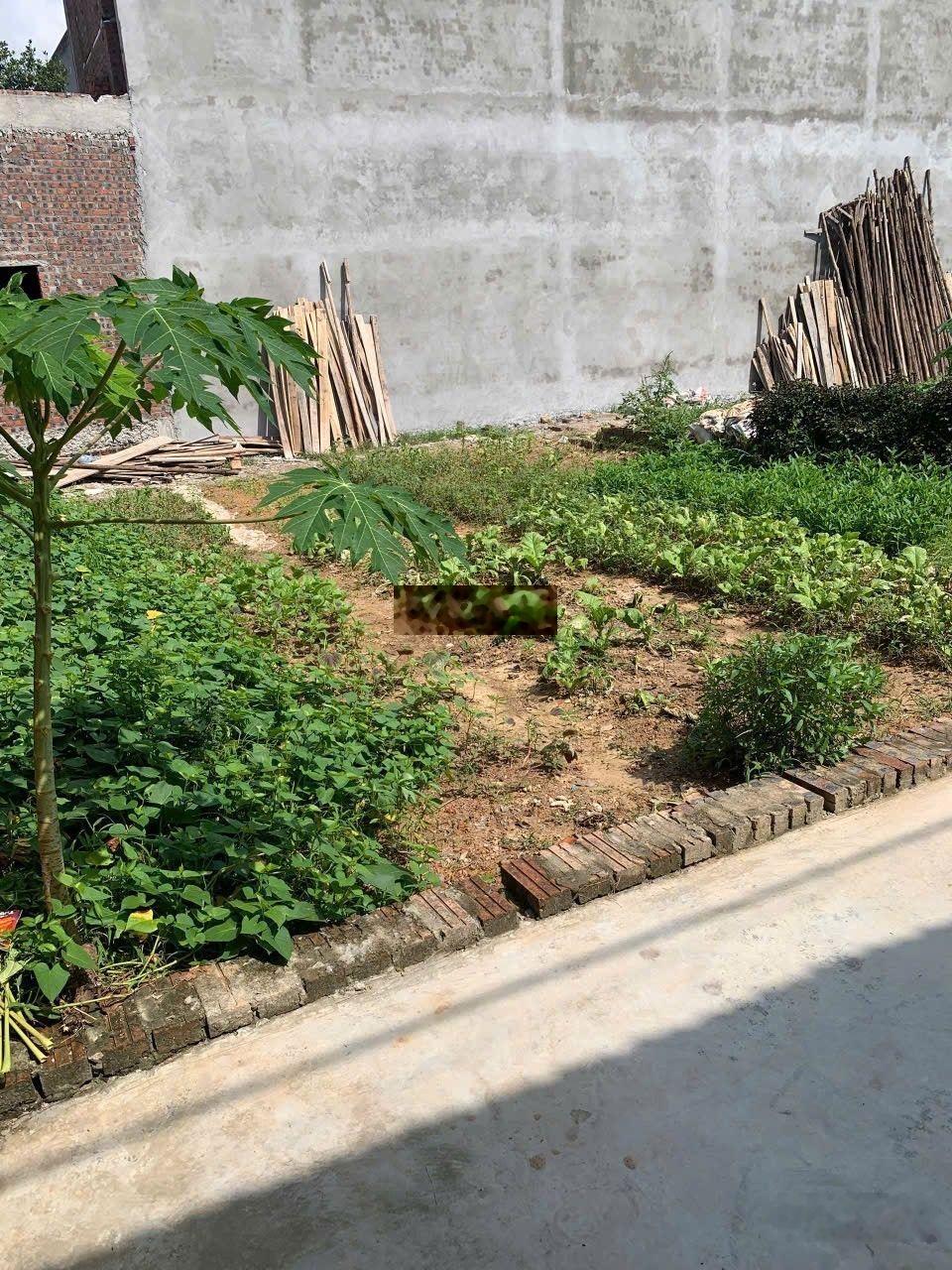 Chính chủ cần bán lô đất siêu đẹp, tại thôn dược hạ, giá đầu tư.