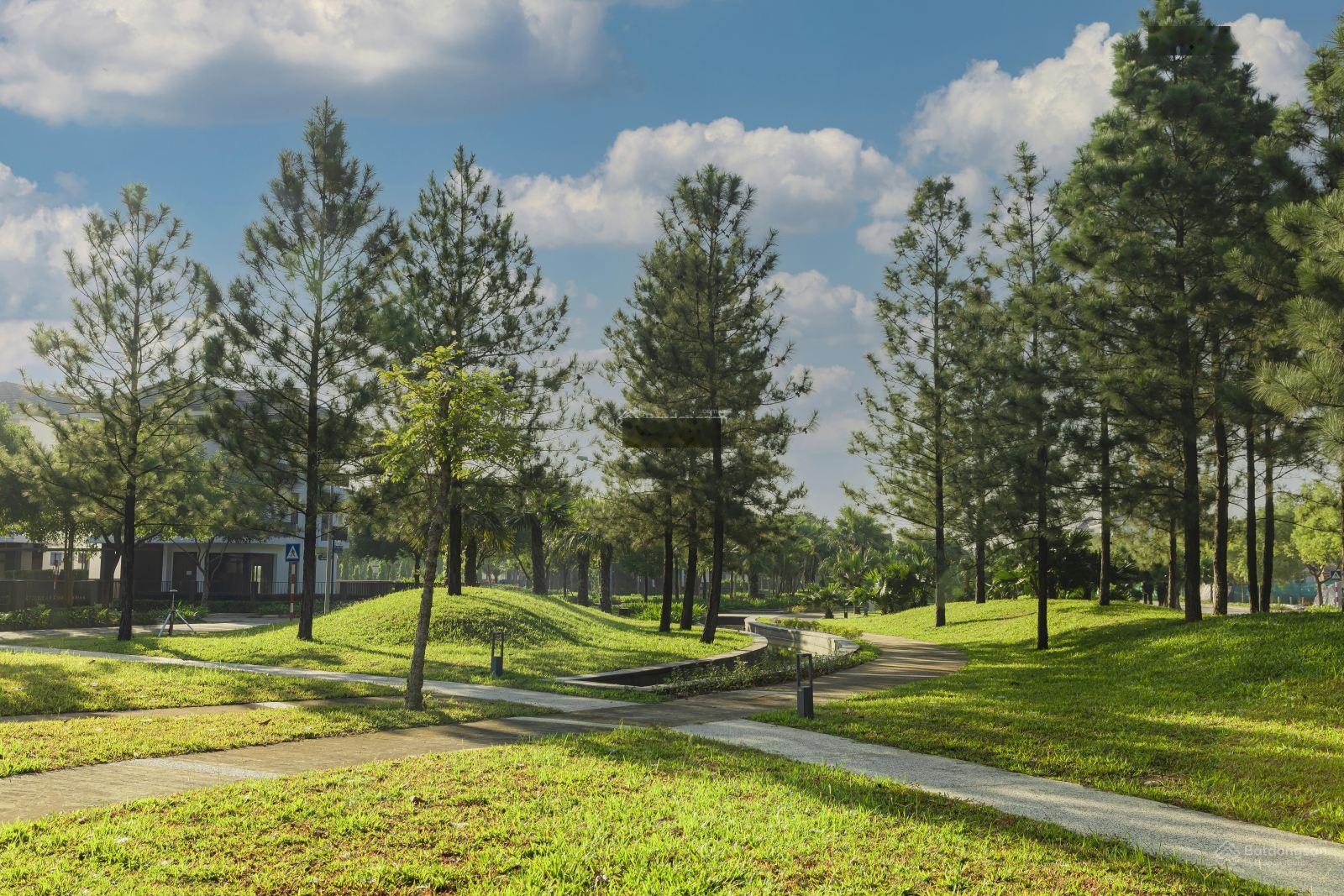 Không mua quá phí, tiềm năng tăng giá cực nhanh cho một lô đất vừa xinh, nhiều tiện ích.