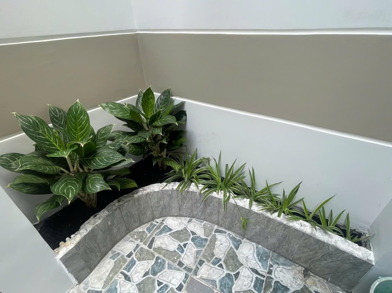 Bán căn nhà mới đẹp hẻm 133 đường Quang Trung P10 GV, DT 3,8x11m trệt, lầu, 3PN, Giá: 3,3tỷ còn bớt