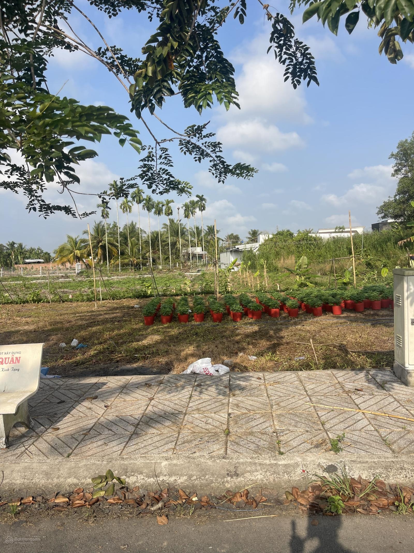 Bán đất nền dự án CLD Maison Ngã Bảy, 1,4 tỷ, 84m2, giá cực chất hàng hiếm tại Ngô Quyền, Lái Hiếu