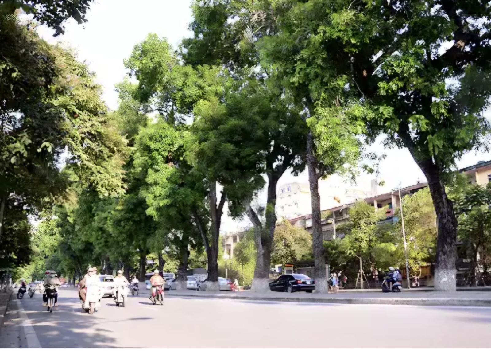 GẦN 220M ĐẤT VÀNG KIM MÃ BA ĐÌNH Tài sản dành cho người thật sự hiểu giá trị