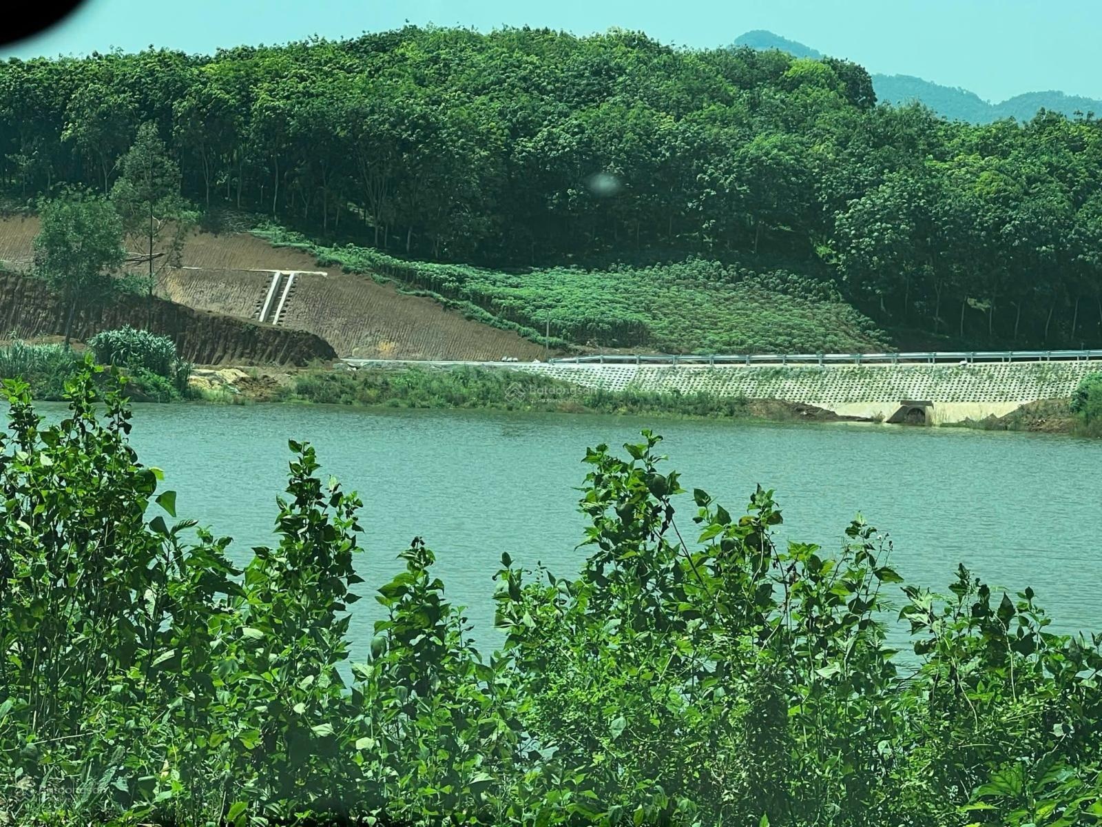 Bán đất 1200m2, giá 3 tỷ, , Đồng Lương, Cẩm Khê, Phú Thọ, chính chủ, giá siêu hời :0965074589