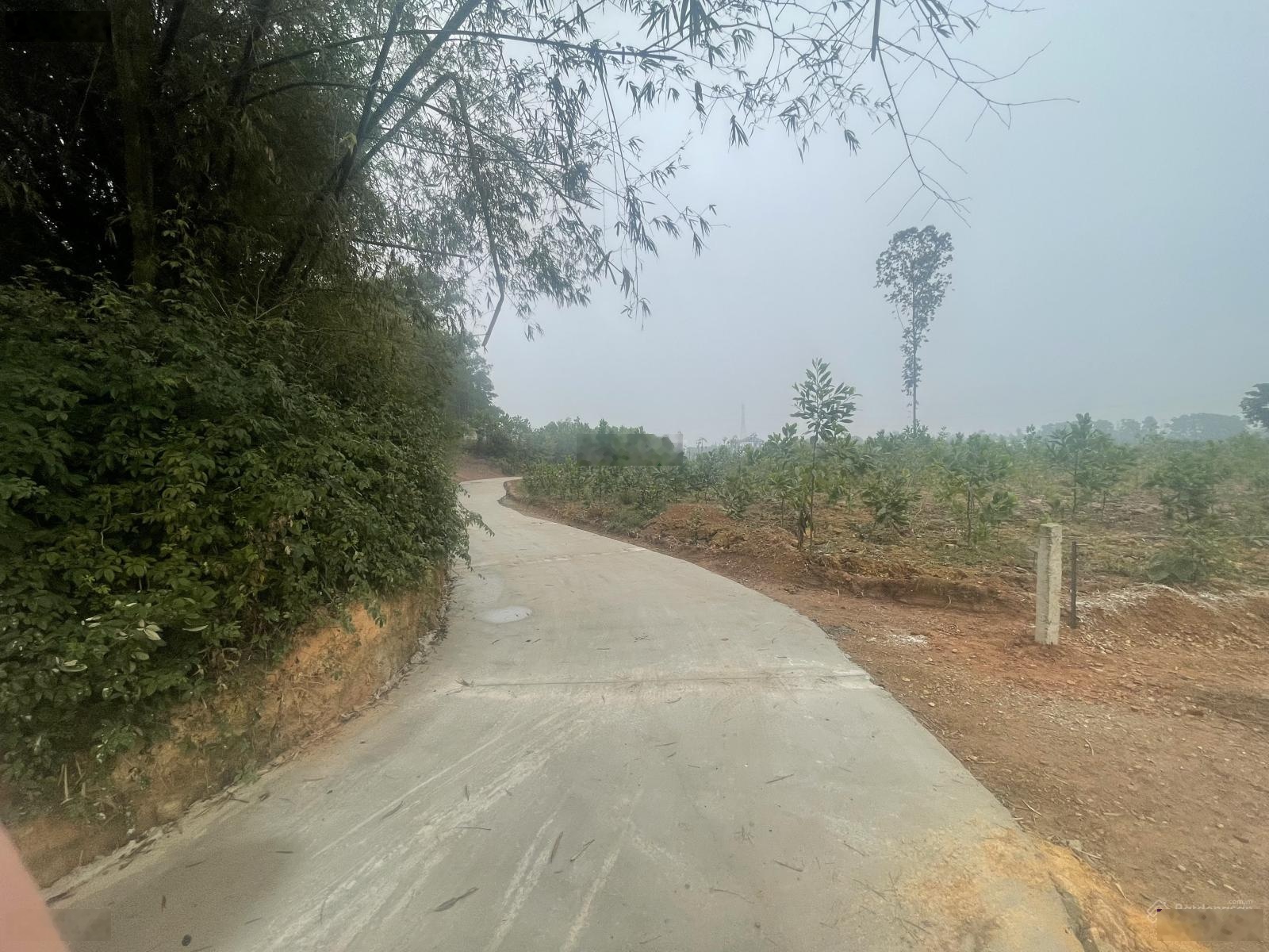 Bán gấp đất tại Xã Bắc Sơn, Sóc Sơn, Hà Nội, 12 triệu / m2, 3656 m2