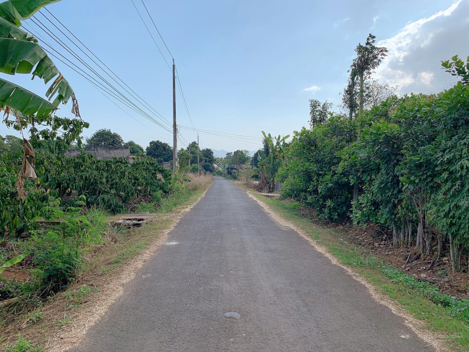 Bán khoảng 1 sào 4 (1405m2) đất xã Láng Lớn, huyện Châu Đức, BRVT. Giá 1,8 tỷ