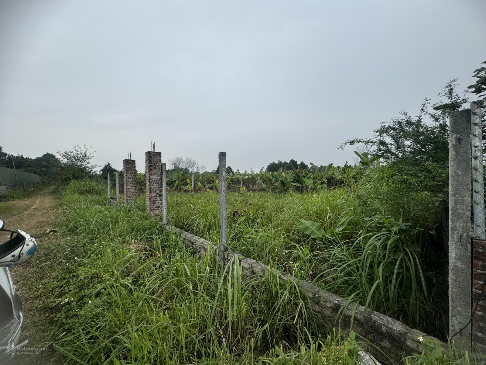 Bán đất vườn 50 năm tại Xã Sài Sơn, Quốc Oai, Hà Nội, giá tốt, 3,8 tỷ, 945 m2