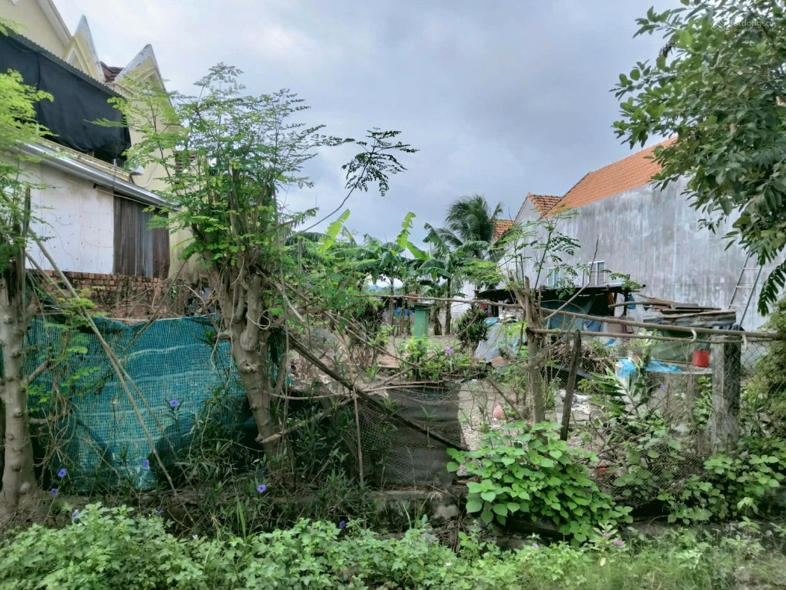 Bán 250m2 đất tại Ninh Thân, Ninh Hòa, Khánh Hòa. Giá chỉ 790tr có thương lượng