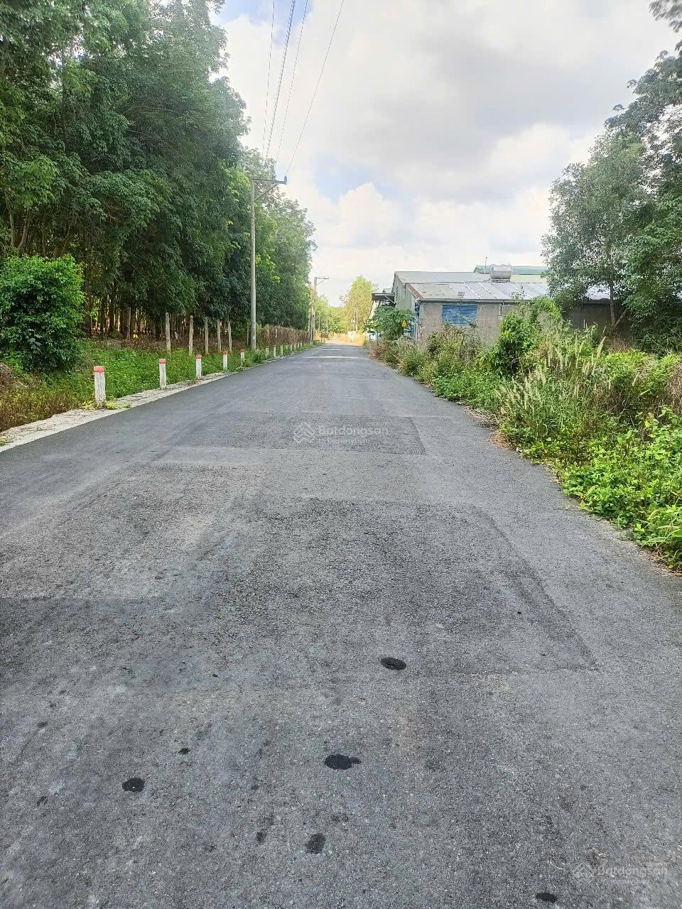 Bán đất chính chủ, phù hợp nghỉ dưỡng / sản xuất quy mô vừa