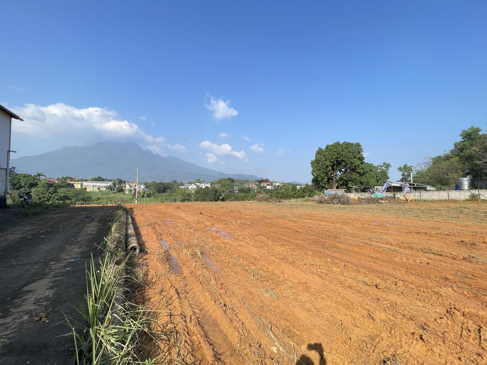 Bán Đất 150m2 tại Đường 87A, Yên Bài, Ba Vì, Hà Nội, giá siêu hời chỉ với 1,8 tỷ