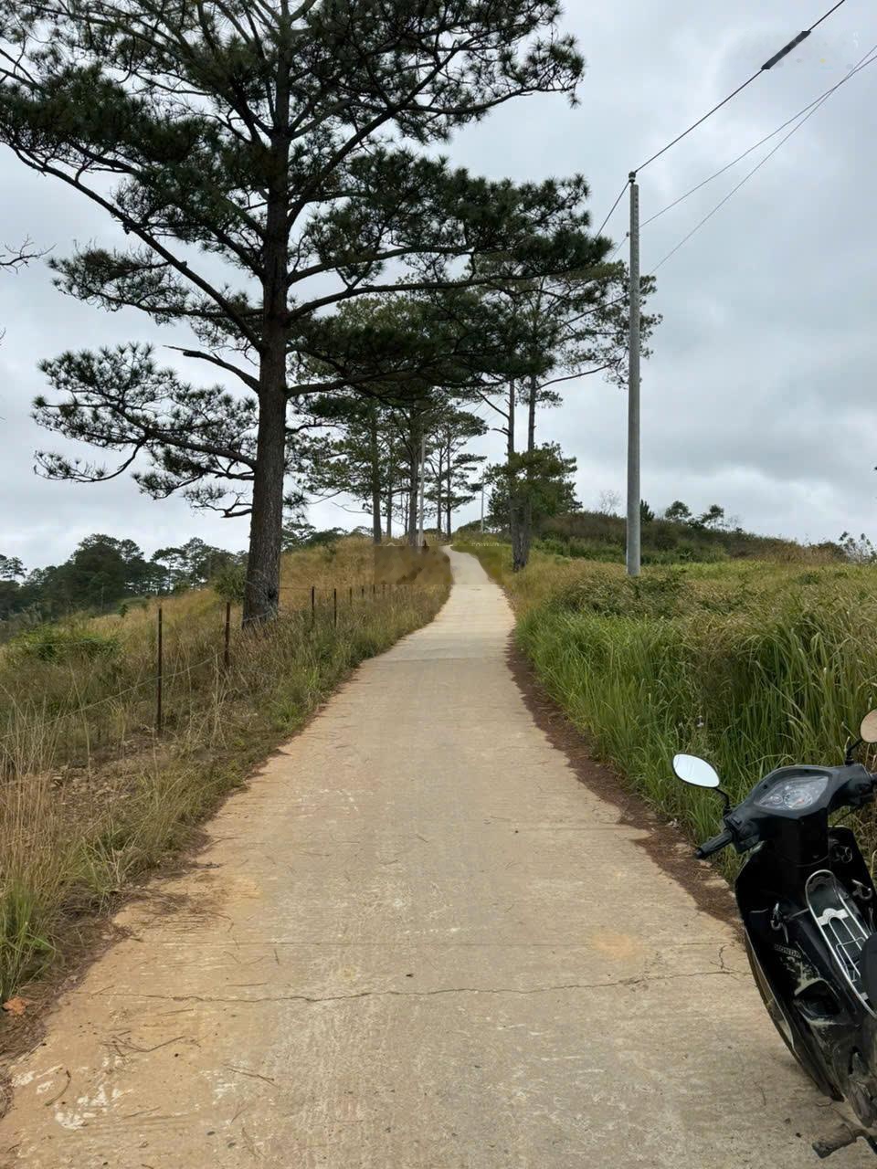 Bán đất tại xã Đạ Sar, Lạc Dương, Lâm Đồng, 400 triệu, 1000m2 đẹp, nhiều tiện ích