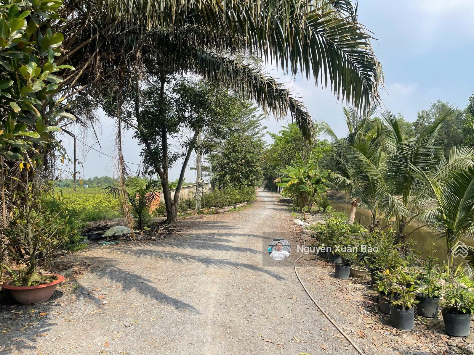 Chủ cần bán 12000m2 mặt tiền đường kênh tại Vườn Thơm, xã Bình Lợi, giá 28tỷ TL. LH 0909805425