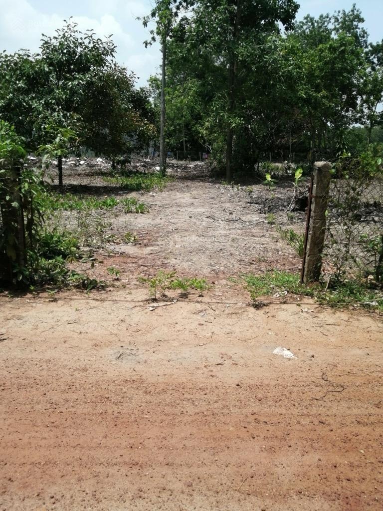 Bán đất chính chủ full thổ cư trung tâm xã bến củi