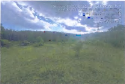 Công ty đấu giá hợp danh Đông Nam thông báo đấu giá tài sản