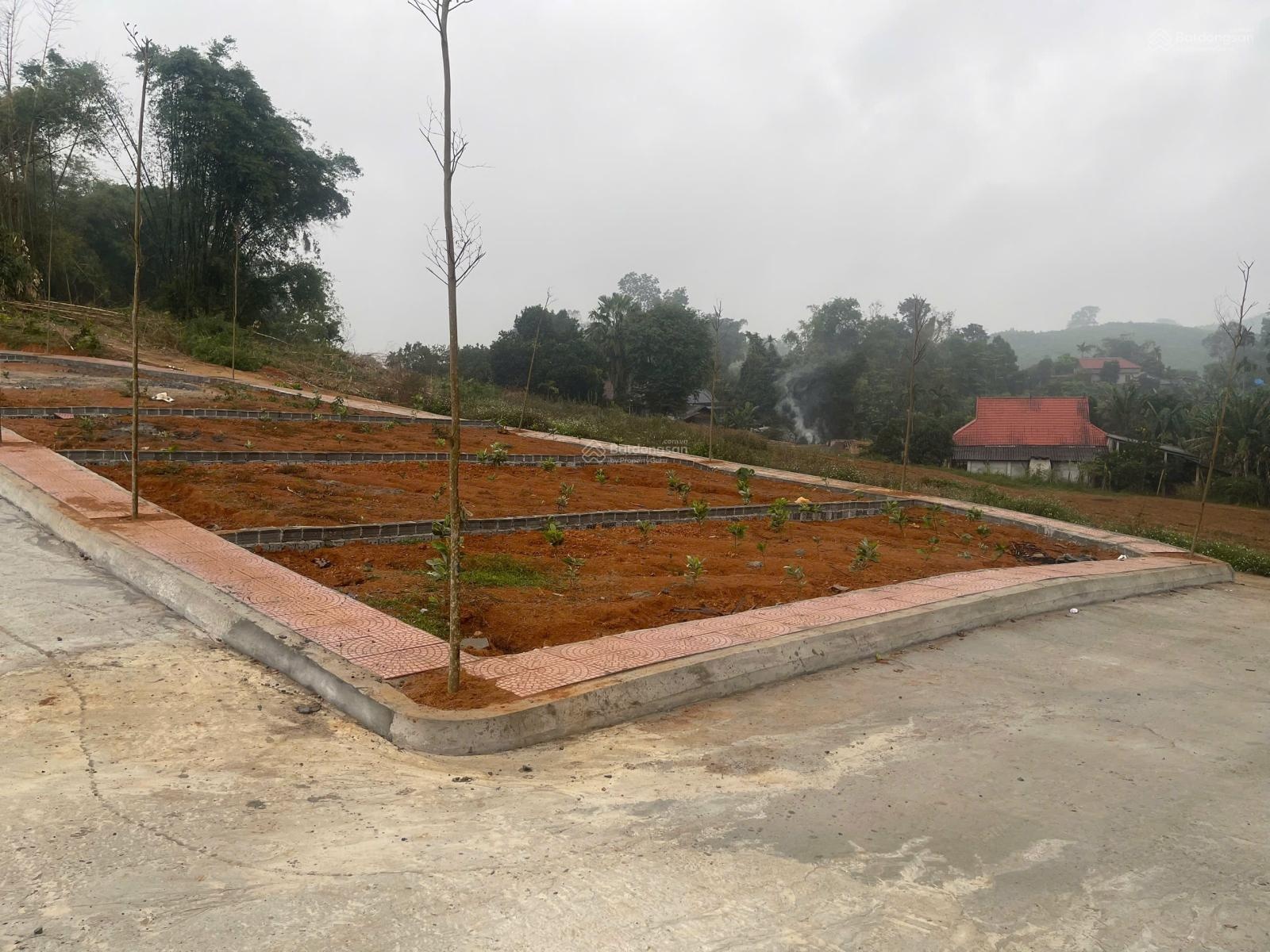 Khu dân cư Vũ Bình - giá từ 224 triệu / lô 130 m2