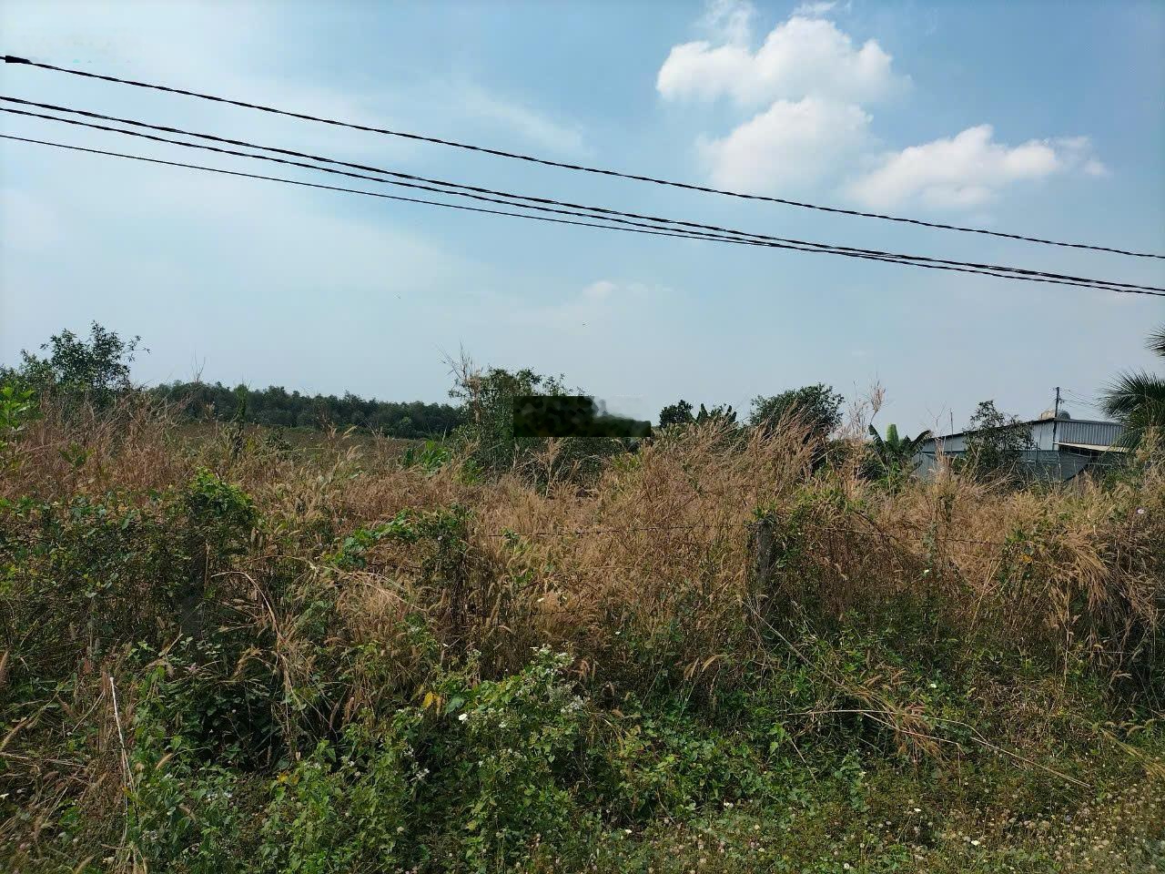 Bán đất diện tích lớn Xã Phước Hiệp, Huyện Củ Chi, TP. HCM