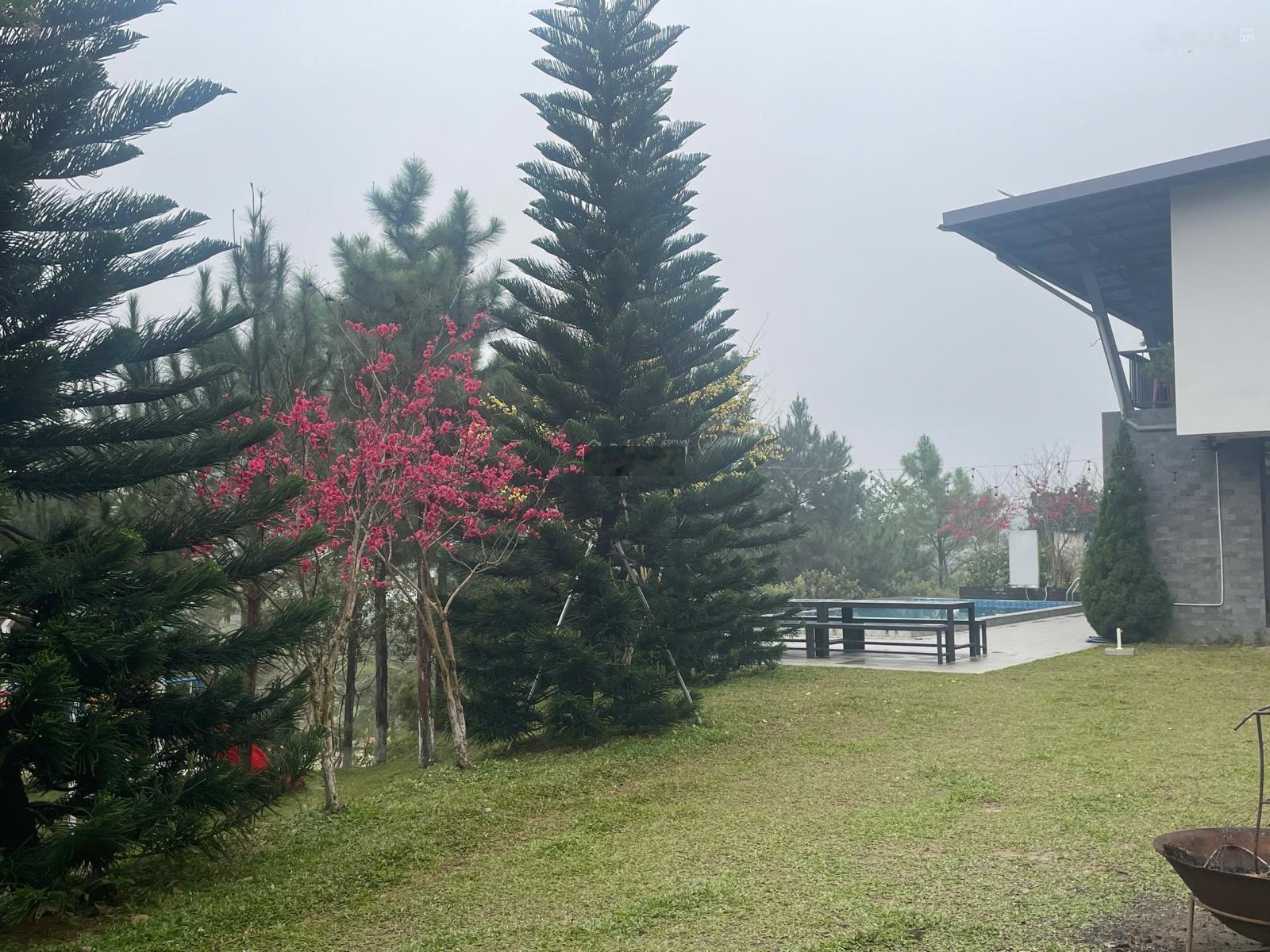 Hiếm lắm ba vì mới có mảnh đất nghỉ dưỡng vuông đẹp, pháp lý sạch chỉ từ 10tr/m2