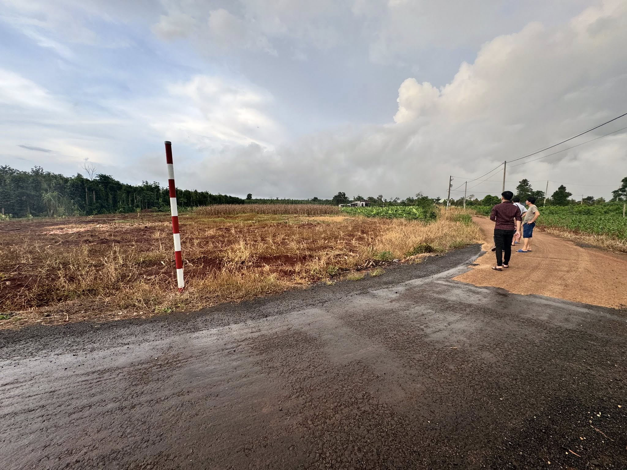 Bán đất huyện Xuyên Mộc, tỉnh Bà Rịa, Vũng Tàu giá 2,6 tỷ